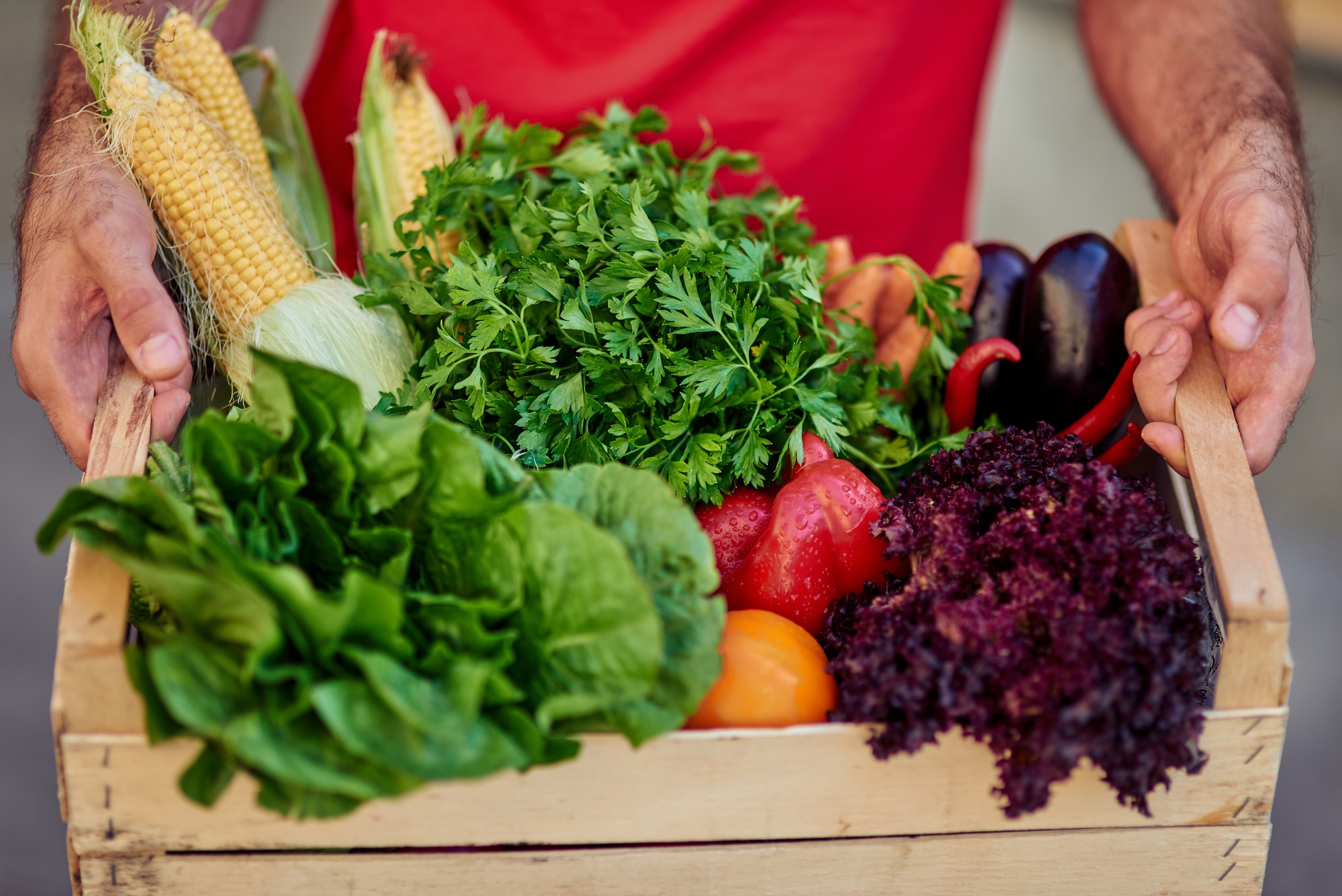 Courier holding grocery box with fresh vegetables for delivering, close up shot